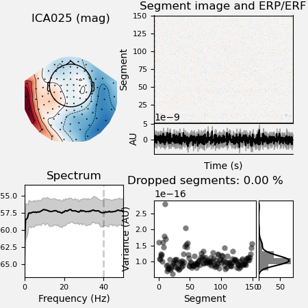 ICA025 (mag), Segment image and ERP/ERF, Spectrum, Dropped segments: 0.00 %
