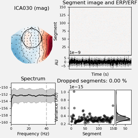 ICA030 (mag), Segment image and ERP/ERF, Spectrum, Dropped segments: 0.00 %