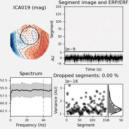 ICA019 (mag), Segment image and ERP/ERF, Spectrum, Dropped segments: 0.00 %