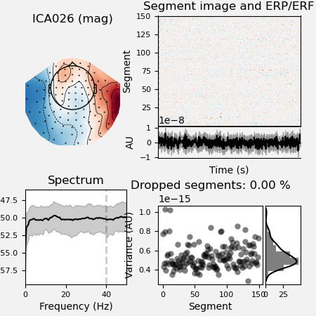 ICA026 (mag), Segment image and ERP/ERF, Spectrum, Dropped segments: 0.00 %