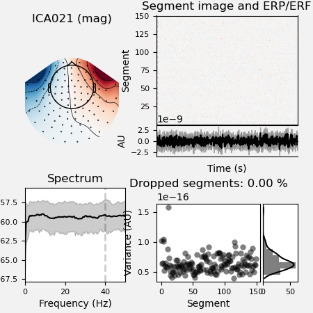 ICA021 (mag), Segment image and ERP/ERF, Spectrum, Dropped segments: 0.00 %