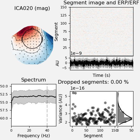 ICA020 (mag), Segment image and ERP/ERF, Spectrum, Dropped segments: 0.00 %