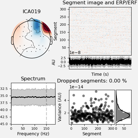 ICA019, Segment image and ERP/ERF, Spectrum, Dropped segments: 0.00 %
