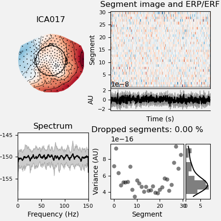 ICA017, Segment image and ERP/ERF, Spectrum, Dropped segments: 0.00 %